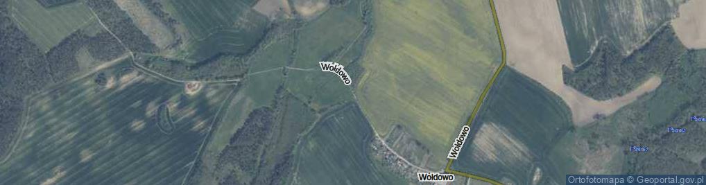 Zdjęcie satelitarne Wołdowo ul.