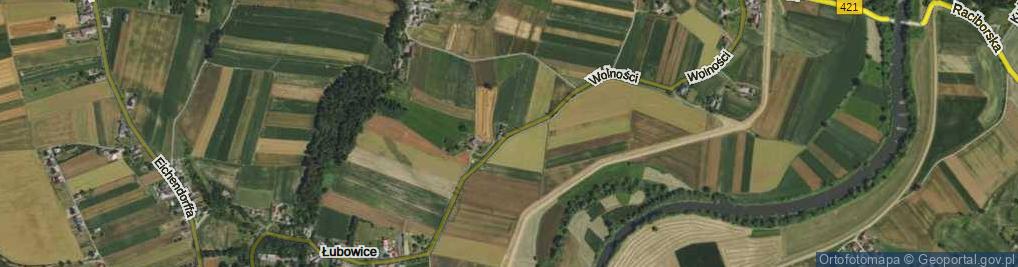 Zdjęcie satelitarne Wolności ul.