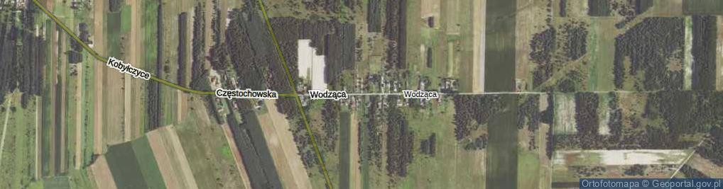 Zdjęcie satelitarne Wodząca ul.