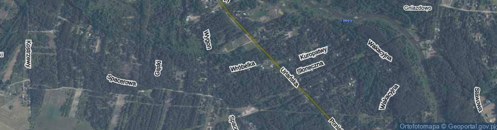 Zdjęcie satelitarne Wróbelka ul.