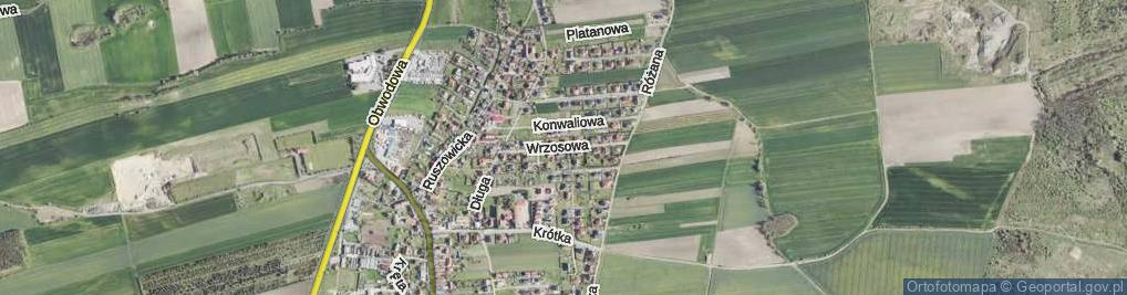 Zdjęcie satelitarne Wrzosowa ul.