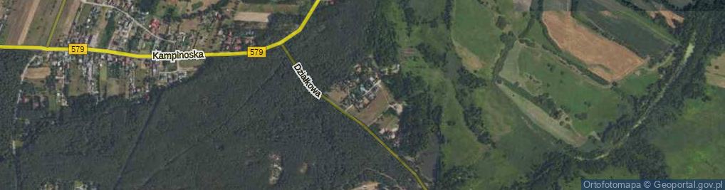 Zdjęcie satelitarne Wrzosowa ul.