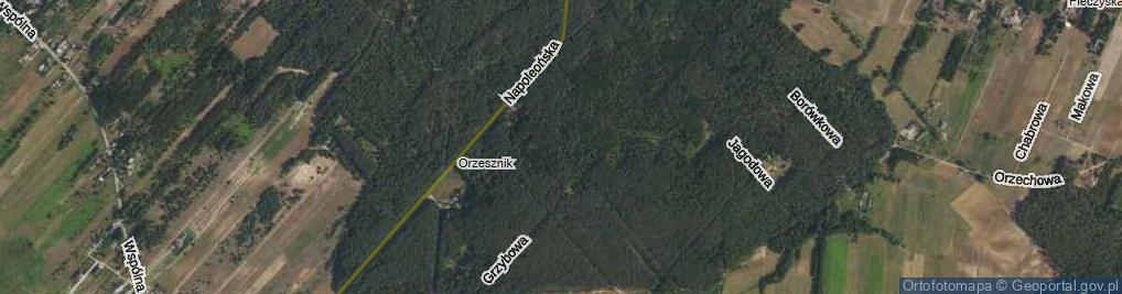Zdjęcie satelitarne Wrzosowa ul.