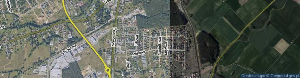 Zdjęcie satelitarne Wrzosowa ul.