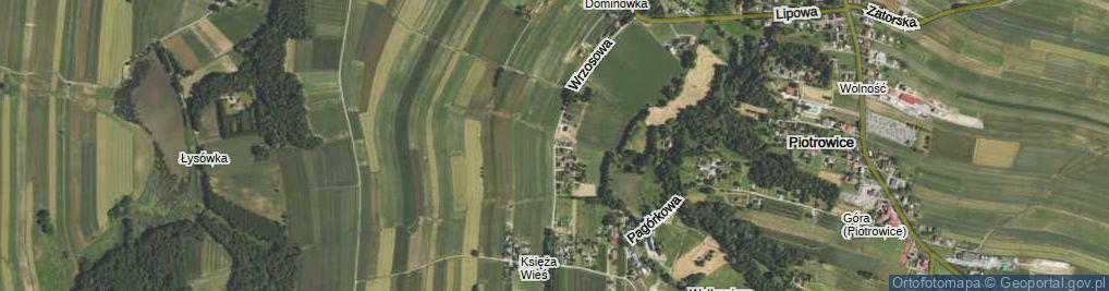 Zdjęcie satelitarne Wrzosowa ul.