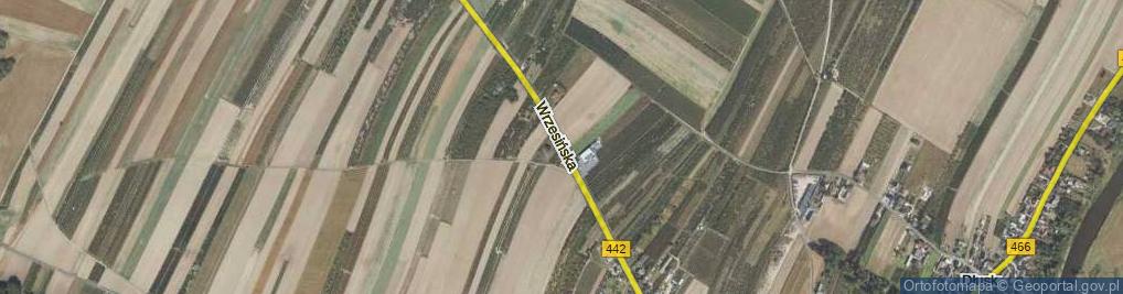 Zdjęcie satelitarne Wrzesińska ul.