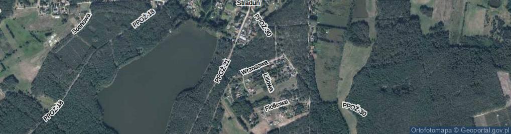 Zdjęcie satelitarne Wrzosowa ul.