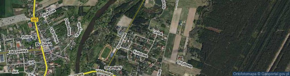 Zdjęcie satelitarne Wrzosowa ul.