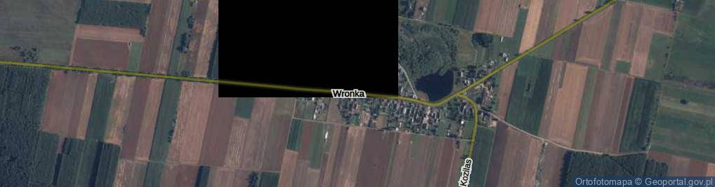 Zdjęcie satelitarne Wronka ul.
