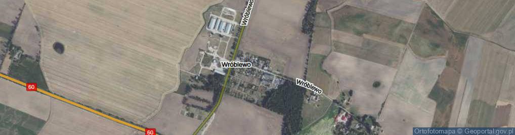 Zdjęcie satelitarne Wróblewo ul.
