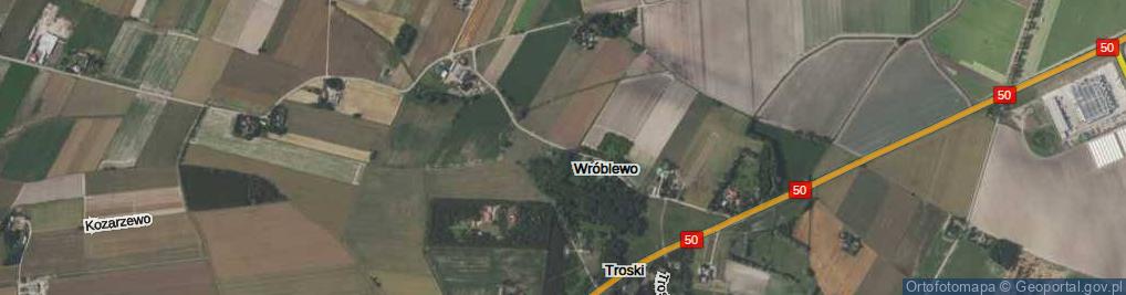 Zdjęcie satelitarne Wróblewo ul.