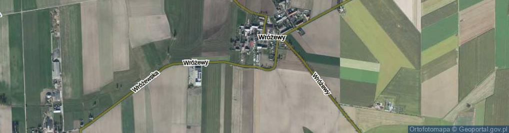 Zdjęcie satelitarne Wróżewy ul.