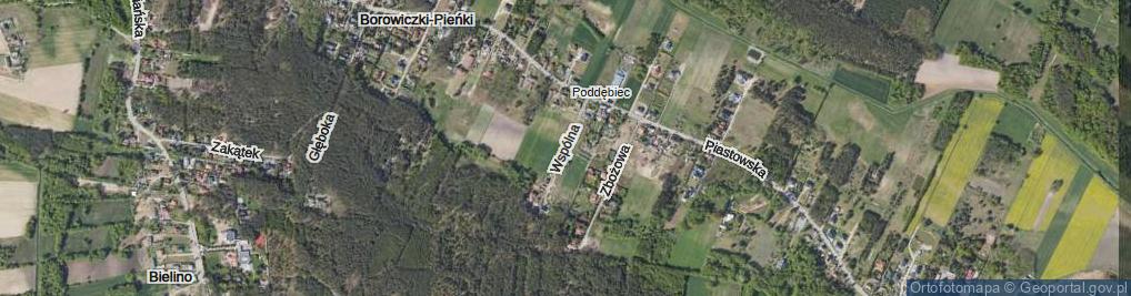 Zdjęcie satelitarne Wspólna ul.