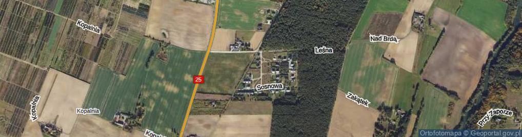 Zdjęcie satelitarne Wspólna ul.