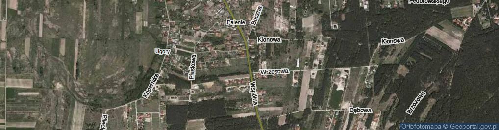 Zdjęcie satelitarne Wspólna ul.