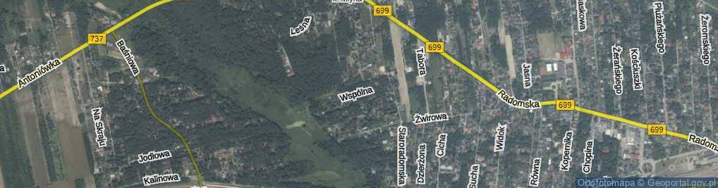 Zdjęcie satelitarne Wspólna ul.