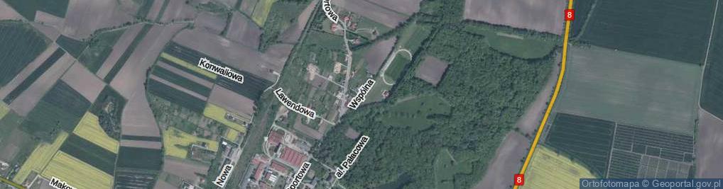 Zdjęcie satelitarne Wspólna ul.