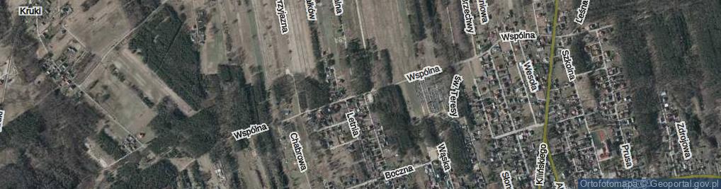 Zdjęcie satelitarne Wspólna ul.