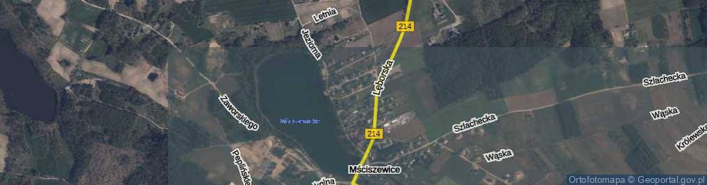 Zdjęcie satelitarne Wspólna ul.
