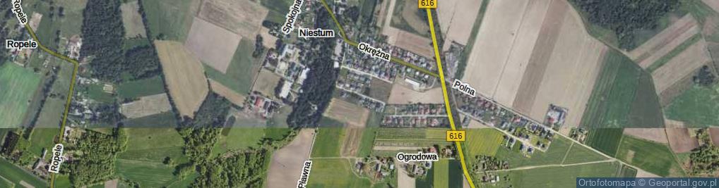 Zdjęcie satelitarne Wspólna ul.