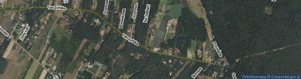 Zdjęcie satelitarne Wspólna ul.