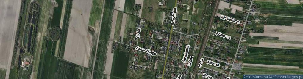 Zdjęcie satelitarne Wspólna ul.