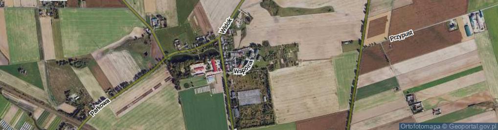 Zdjęcie satelitarne Wspólna ul.