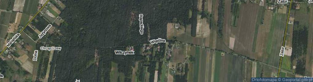 Zdjęcie satelitarne Wspólna ul.