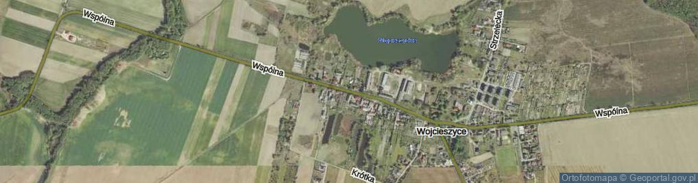 Zdjęcie satelitarne Wspólna ul.