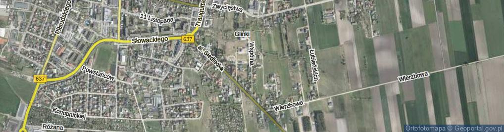 Zdjęcie satelitarne Wspólna ul.