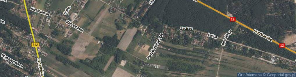 Zdjęcie satelitarne Wspólna ul.
