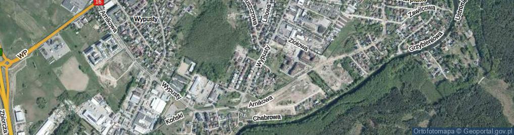 Zdjęcie satelitarne Wypusty ul.