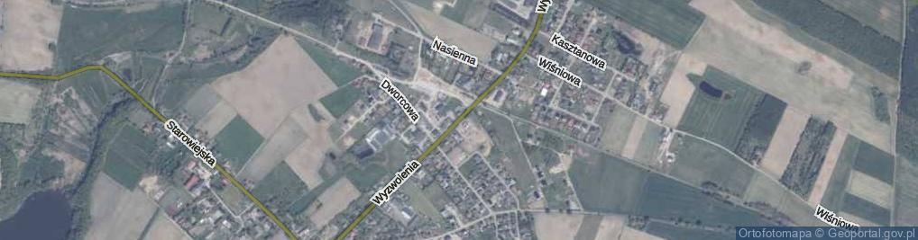 Zdjęcie satelitarne Wyzwolenia ul.