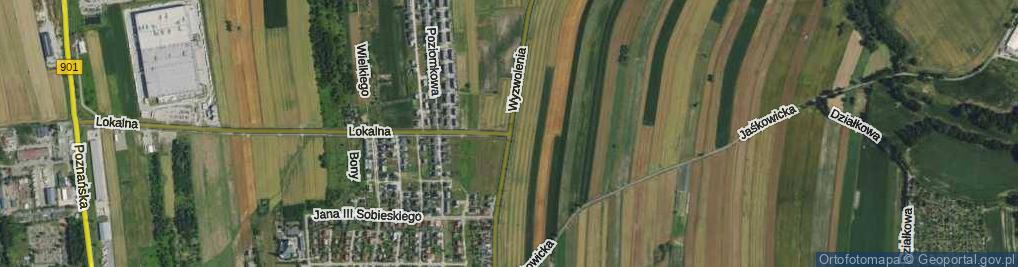 Zdjęcie satelitarne Wyzwolenia ul.