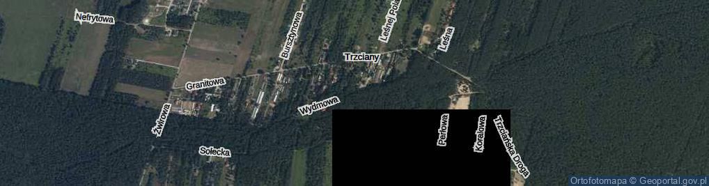 Zdjęcie satelitarne Wydmowa ul.