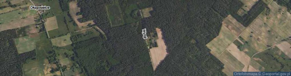 Zdjęcie satelitarne Wyzgi ul.