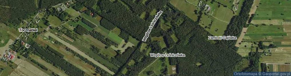 Zdjęcie satelitarne Wzgórze-Leśniczówka ul.