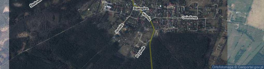 Zdjęcie satelitarne Zawiszewskiego Edwarda, ks. ul.