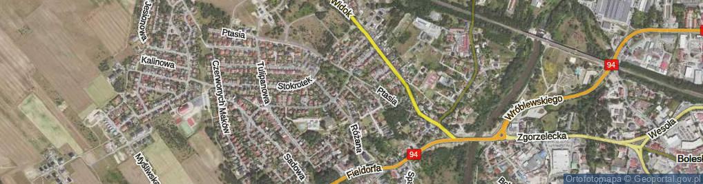 Zdjęcie satelitarne Zaułek Sasanek ul.