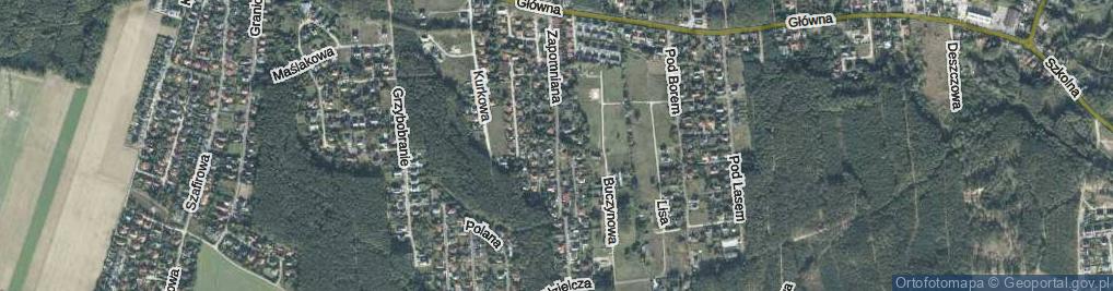 Zdjęcie satelitarne Zapomniana ul.