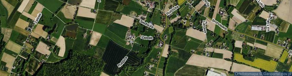 Zdjęcie satelitarne Zalesie ul.