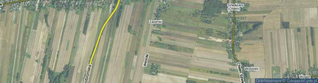 Zdjęcie satelitarne Zapilniki ul.