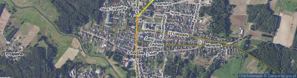 Zdjęcie satelitarne Żabia ul.