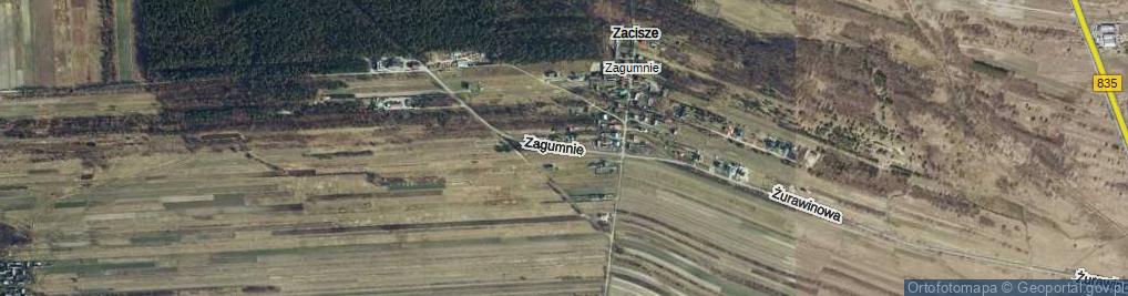 Zdjęcie satelitarne Zagumnie ul.