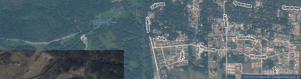 Zdjęcie satelitarne Zakonna ul.