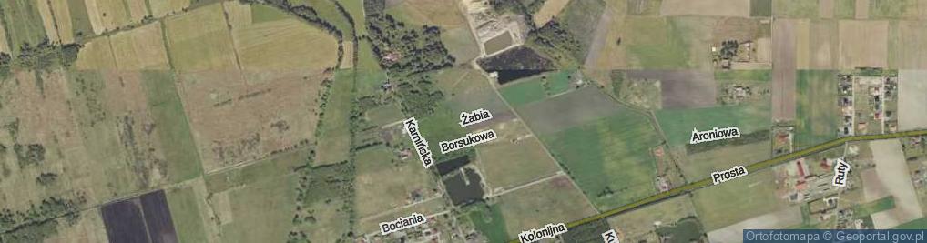 Zdjęcie satelitarne Żabia ul.