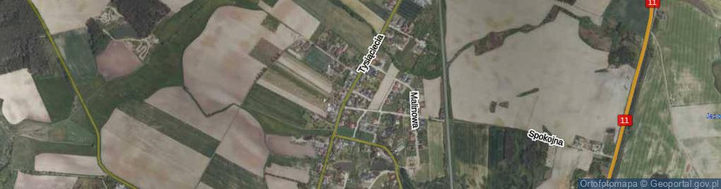 Zdjęcie satelitarne Zacisze ul.