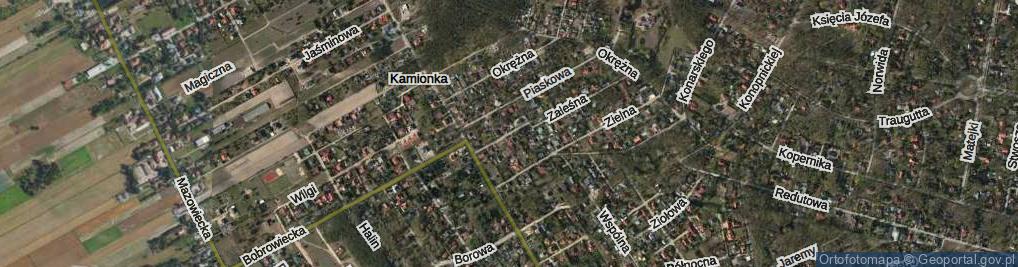 Zdjęcie satelitarne Zaleśna ul.