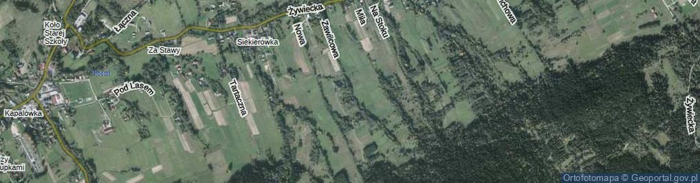 Zdjęcie satelitarne Zawilcowa ul.