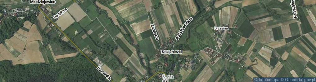 Zdjęcie satelitarne Zadworze ul.